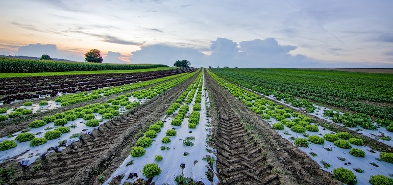 Guide Complet sur la Formation en Agriculture